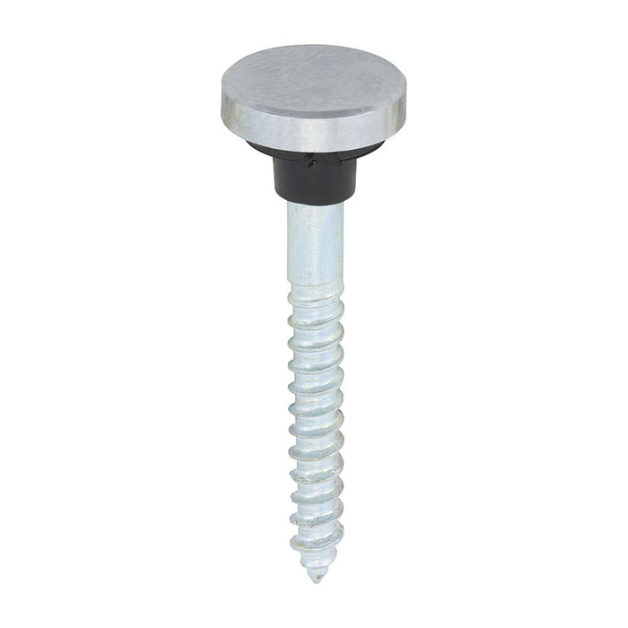 Mirror Screws - Chrome Plated Head Screw Cap With Rubber Washer - Zinc