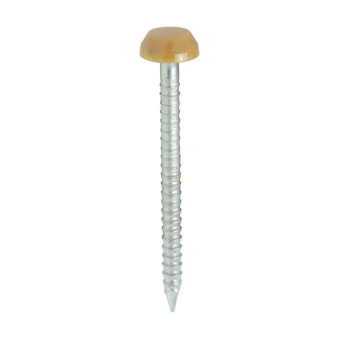 Polymer Headed Pins - A4 Stainless Steel - Oak