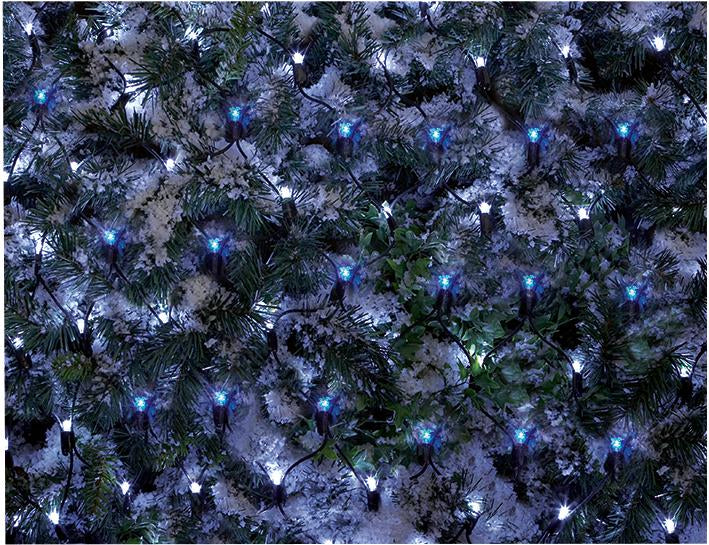 180 Blue & White LED Christmas Net Lights 1.7 x 1.2m