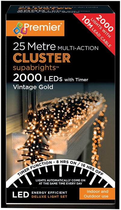 Raraion - 2000 LED Multi Action Vintage Gold Cluster Christmas Lights with Timer