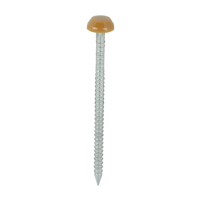 Polymer Headed Pins - A4 Stainless Steel - Oak