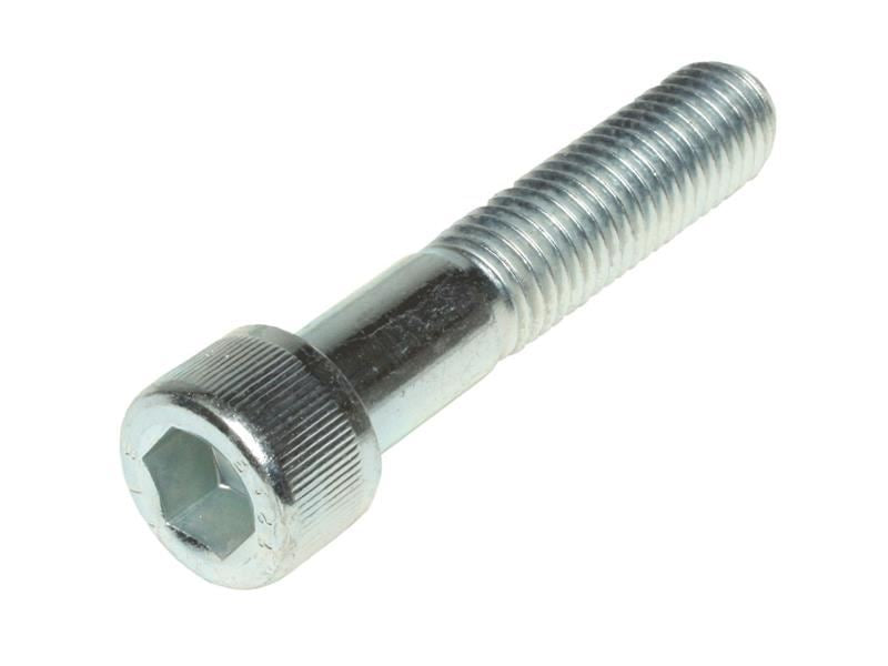 Socket Cap Screws, Zinc Plated