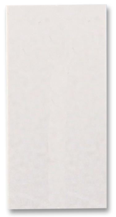 25 x 50mm Blank Plate, White