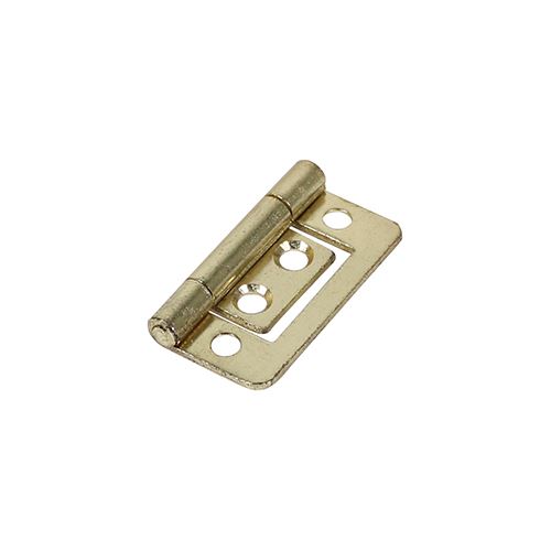 Flush Hinge - Electro Brass