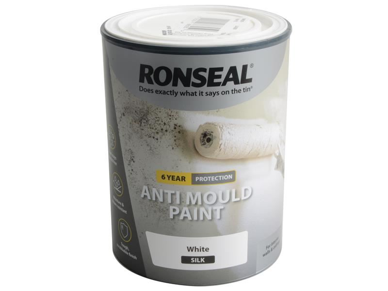 6 Year Anti Mould Paint