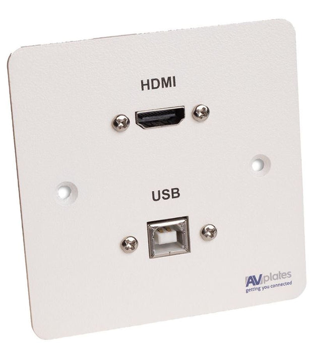 1 Gang HDMI/USB-B Wall Plate