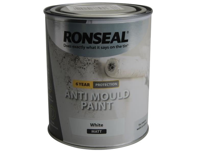 6 Year Anti Mould Paint