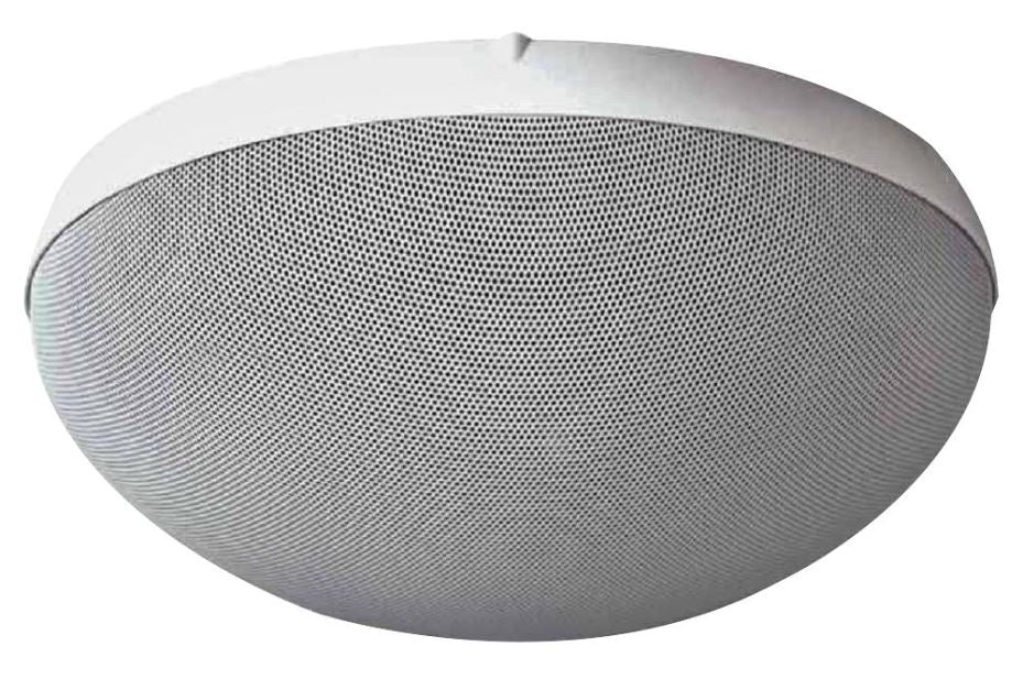 100V 2-Way Dome Ceiling Speaker