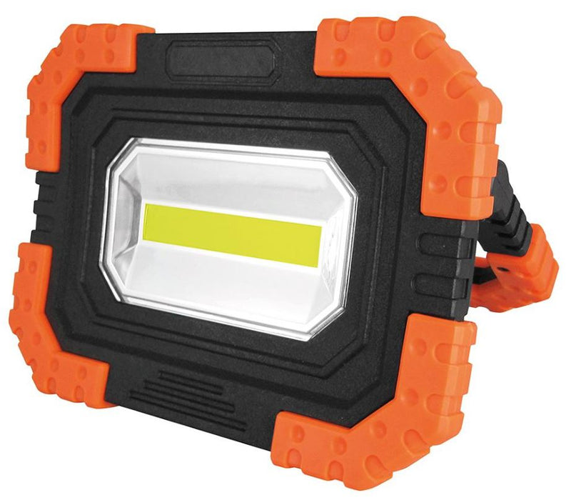 5W COB LED Floodlight