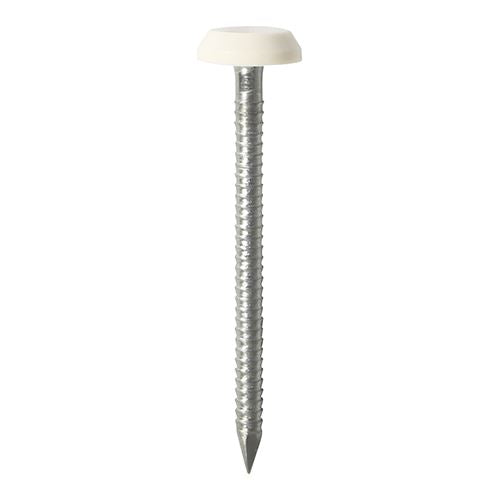 Polymer Headed Nails - A4 Stainless Steel - White