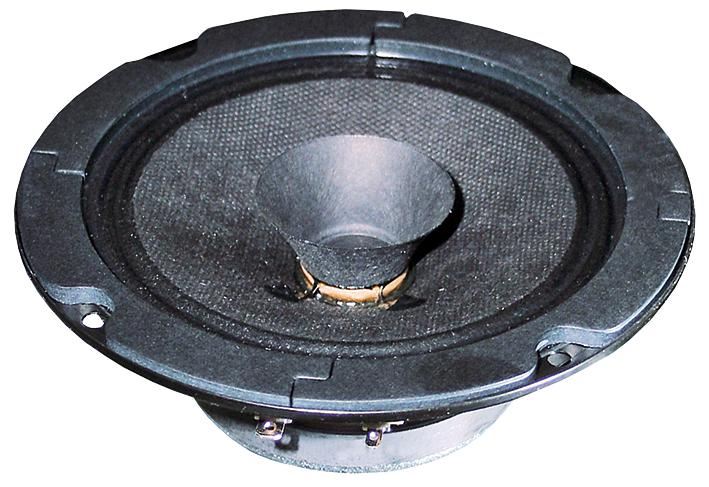 5" Full Range Speaker Driver