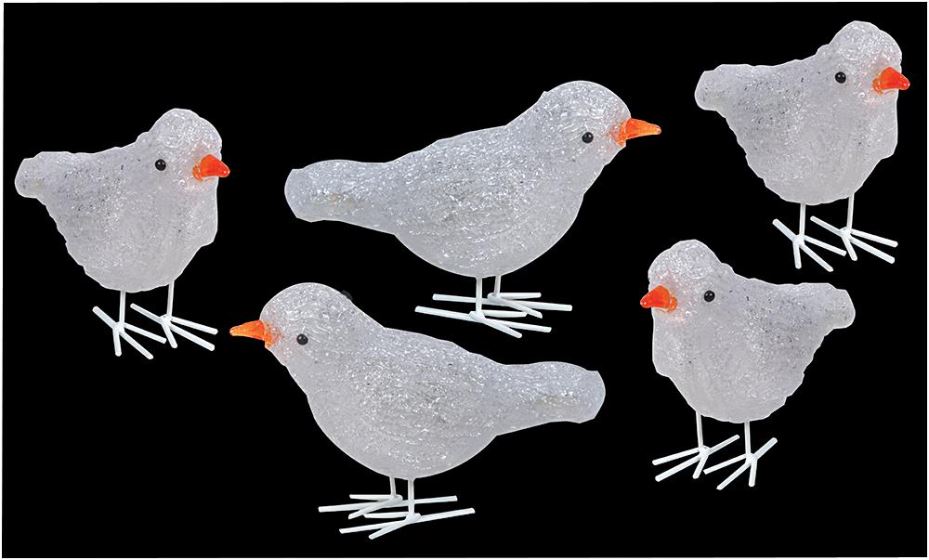 Raraion - 16cm 5 Piece Acrylic Birds with 30 White LEDs