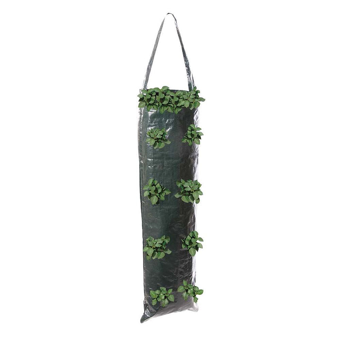 Hanging Grow Tube 2pk - 700 x 220mm