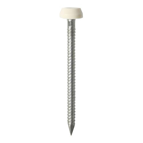 Polymer Headed Pins - A4 Stainless Steel - Cream