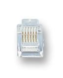 Plug RJ12 6P6C 10 Pack