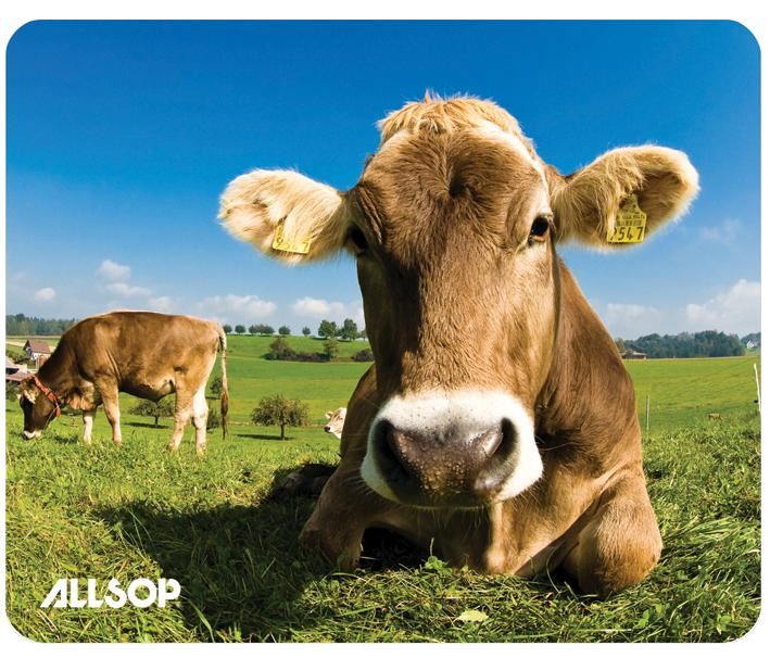 Cows in Field Mouse Mat