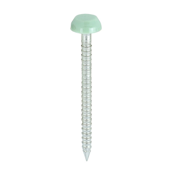 Polymer Headed Pins - A4 Stainless Steel - Chartwell Green