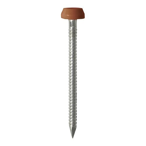 Polymer Headed Pins - A4 Stainless Steel - Clay Brown