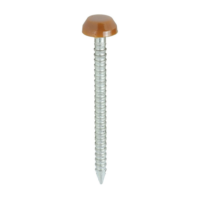 Polymer Headed Pins - A4 Stainless Steel - Clay Brown