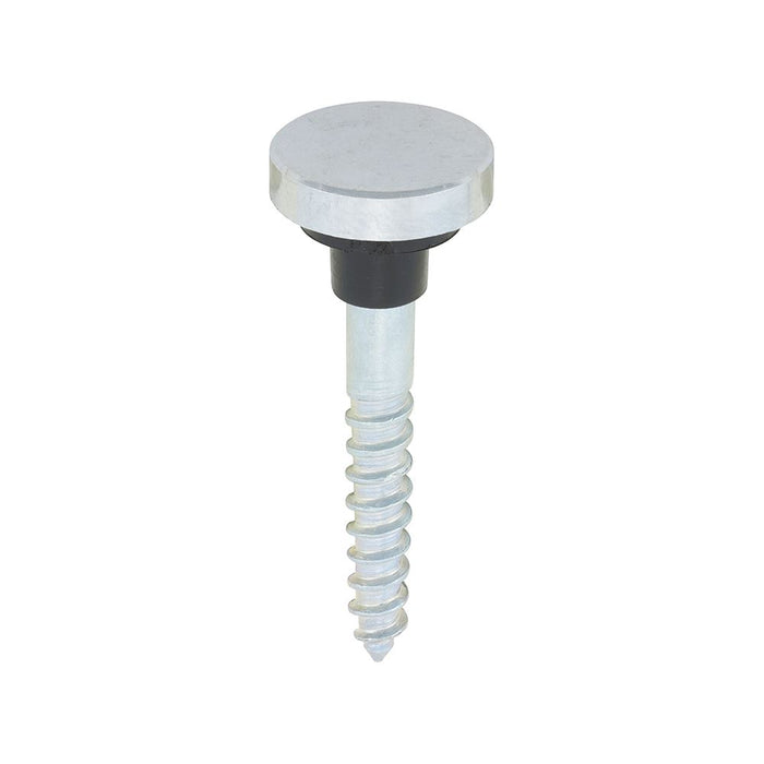 Mirror Screws - Chrome Plated Head Screw Cap With Rubber Washer - Zinc