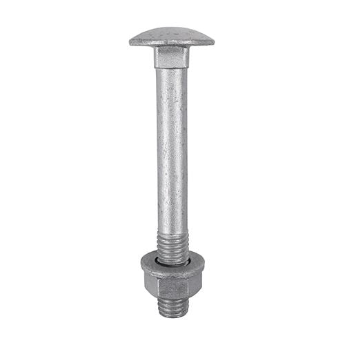 Carriage Bolts Hex Nuts & Form A Washers - Dome - Exterior - Silver