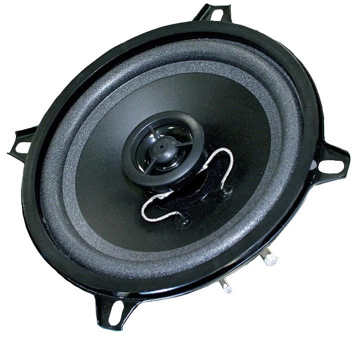 5" Full Range Speaker Driver