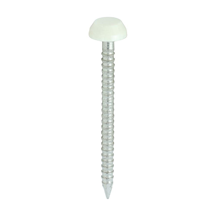 Polymer Headed Pins - A4 Stainless Steel - Cream