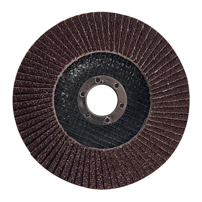 Aluminium Oxide Flap Disc