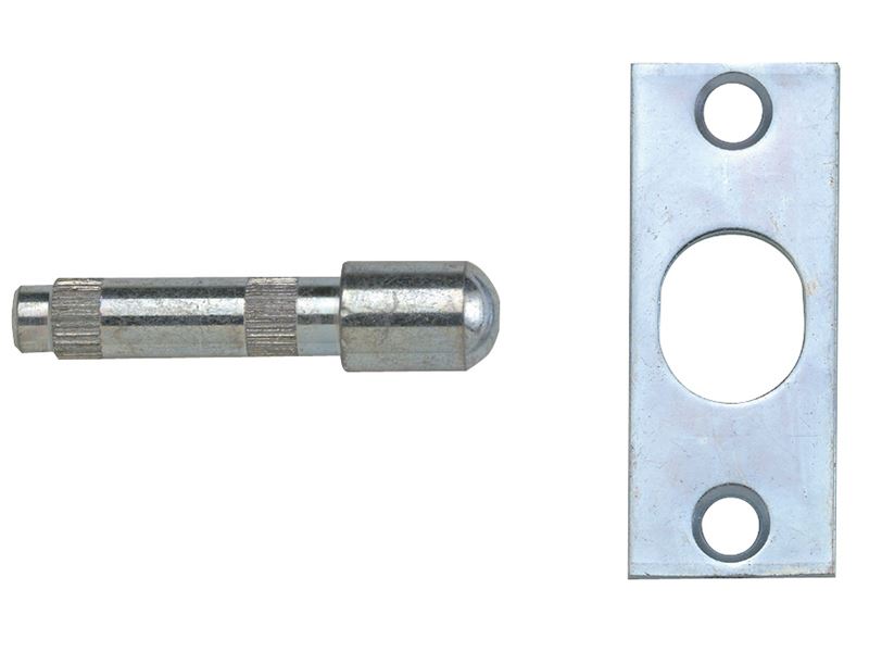 P125 Hinge Bolt