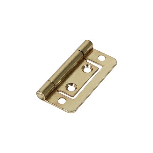 Flush Hinge - Electro Brass