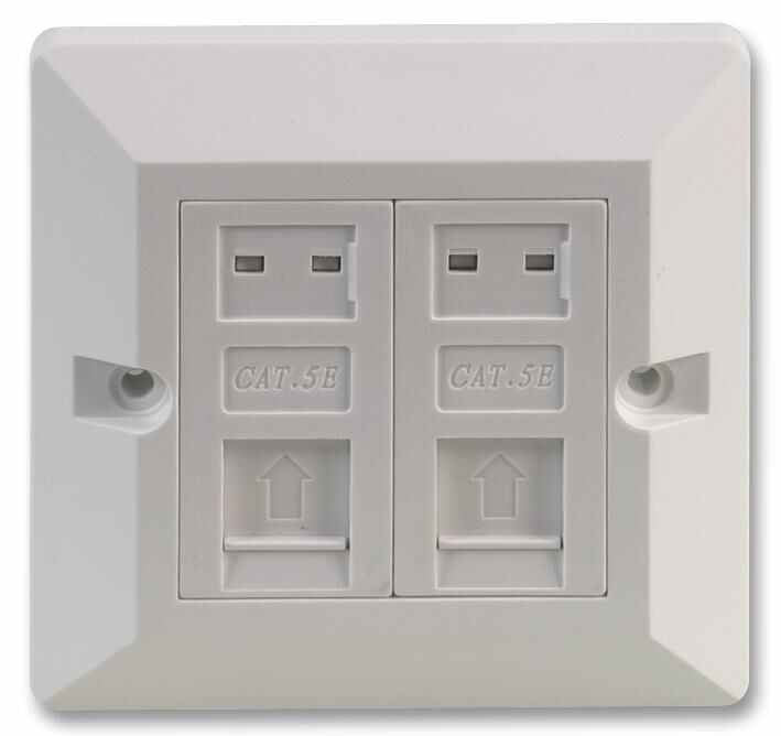 2-Port Cat5E RJ45 Socket Faceplate