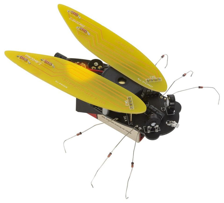 Electronic Cicada Kit